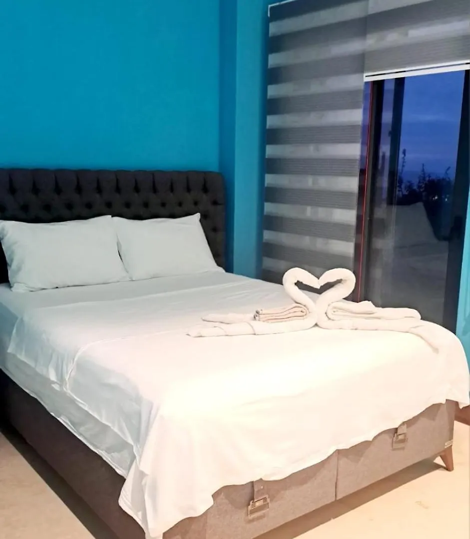 Oezel Havuzlu Tas Villa 博德鲁姆 土耳其