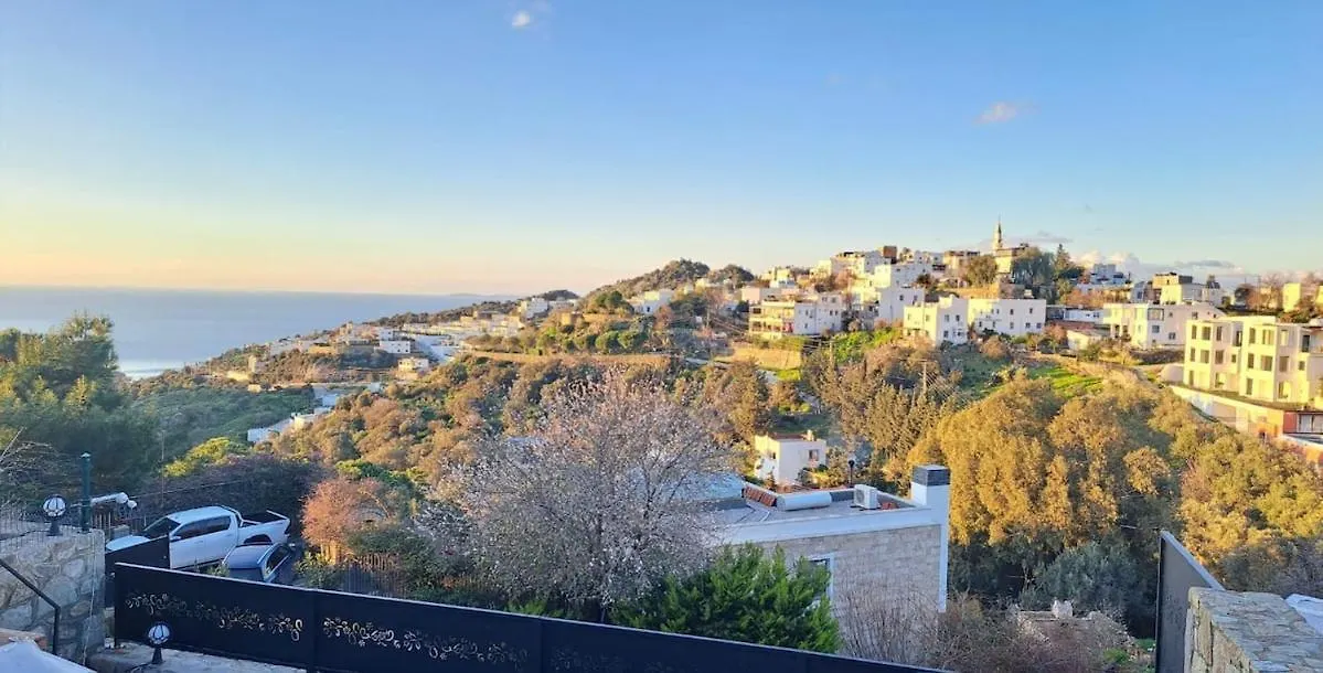 Oezel Havuzlu Tas Villa Bodrum