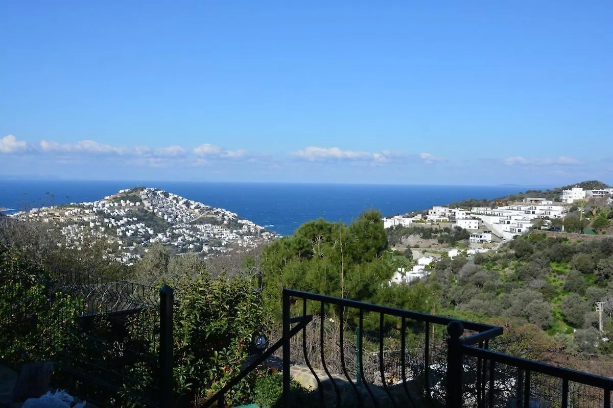 Oezel Havuzlu Tas Villa 博德鲁姆 0*,  土耳其